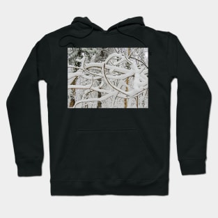 Snow Abstract III Hoodie